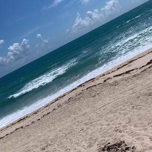 Bring the Florida beach home